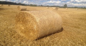 Wheat-Straw-Pellets-2-1030x773 